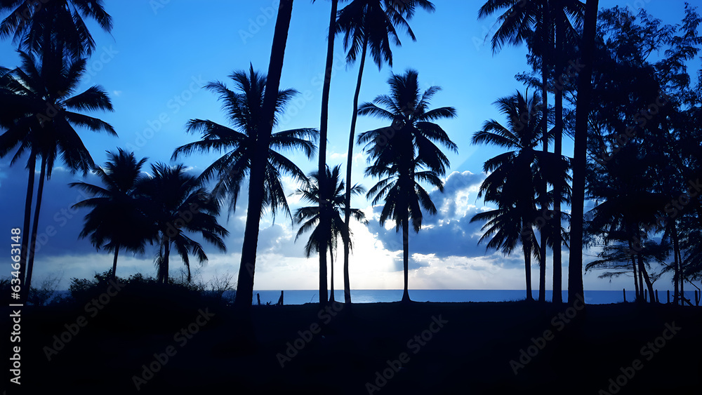 The perspective of the beach sunset with a coconut palm plantation on the sky background.