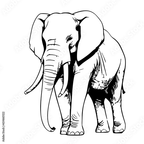 Elephant  photo