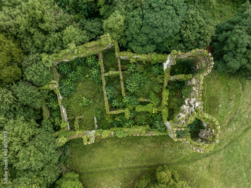 Fotografiet Aerial view of ruined and overgrown Buttevant or Barry's castle on the Awbeg riv