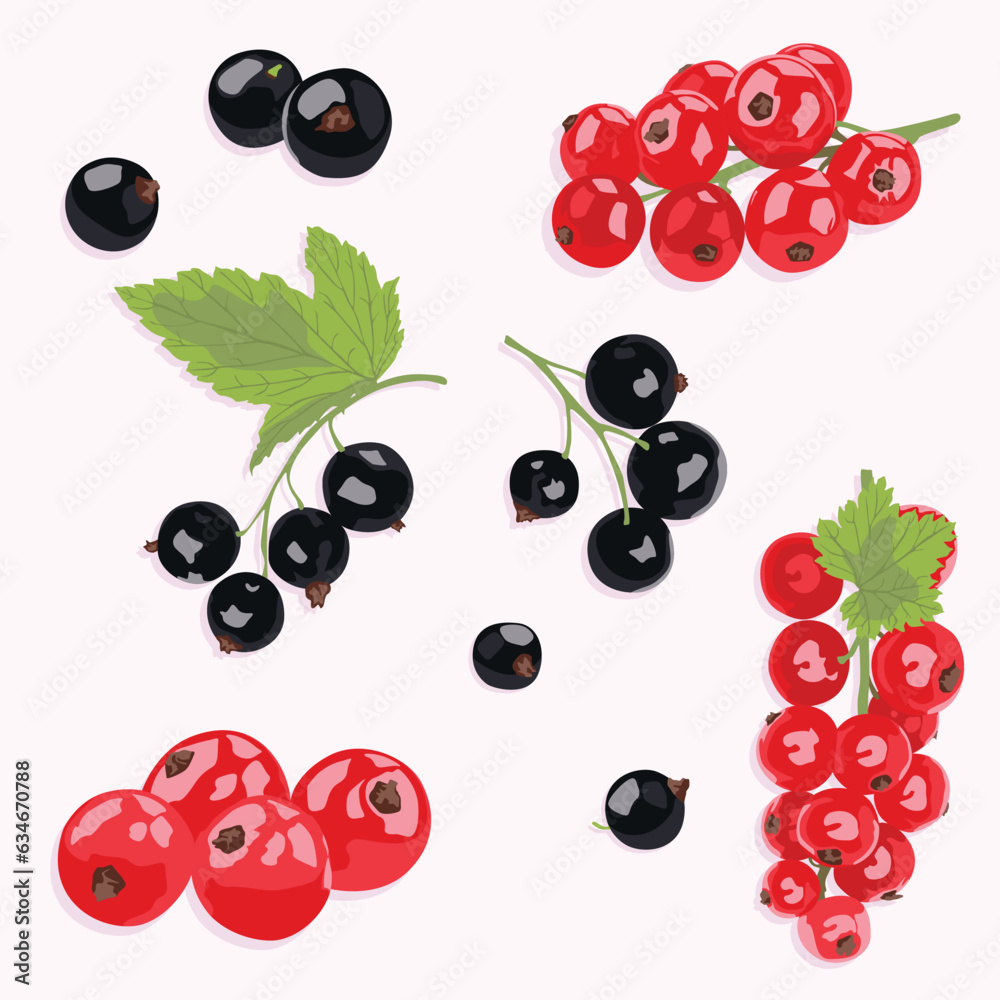 Currant vector icons. Currant black and red with and without leaves. Realistic berry icons. Currant vector icons. Currant black and red with and without leaves. Realistic berry icons.