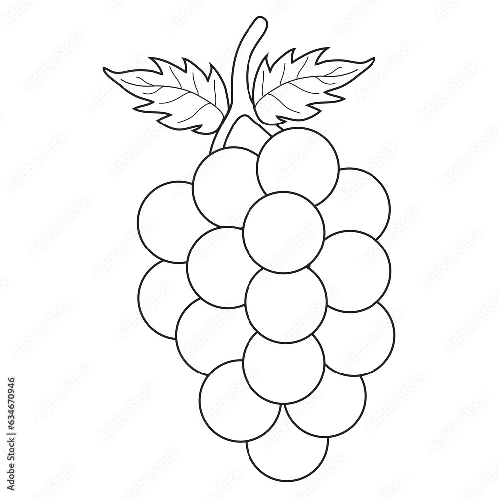 grape fruit outline vector illustration grape fruit outline vector illustration