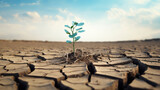 Lone tree sprouts on parched earth symbolizing climate crisis 