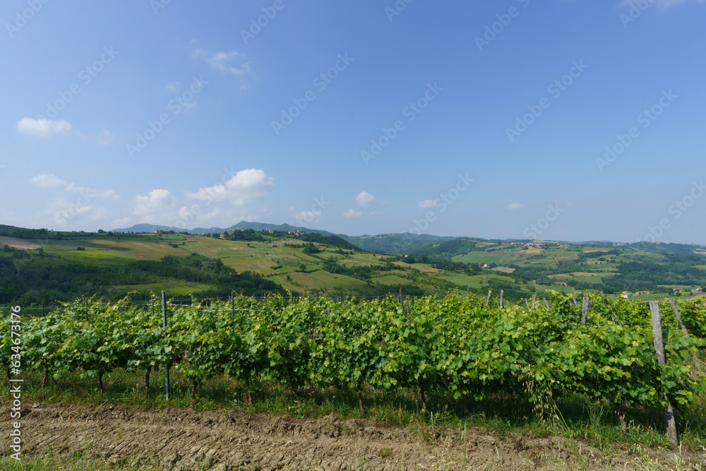 Rural landscape on Tortona hills, Piedmont, Italy