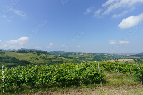 Rural landscape on Tortona hills  Piedmont  Italy