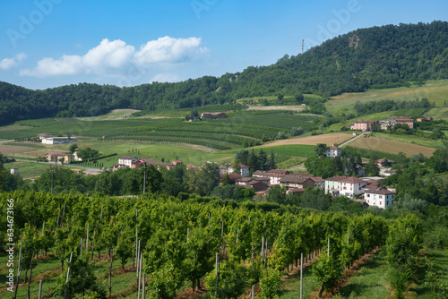 Rural landscape on Tortona hills, Piedmont, Italy photo