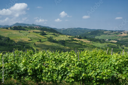 Rural landscape on Tortona hills, Piedmont, Italy photo