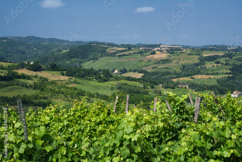 Rural landscape on Tortona hills, Piedmont, Italy © Claudio Colombo