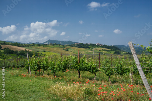 Rural landscape on Tortona hills, Piedmont, Italy photo