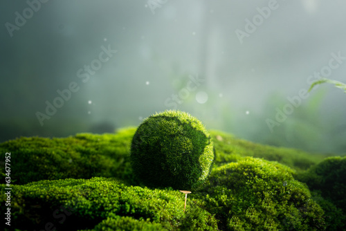 Environmental concept - Crystal Earth on forest moss with fern and sunlight - environment, save clean earth, net zero, esg ecology concept. Earth day banner