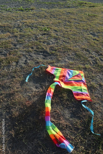 colorful kite on the grass design for freedom concept