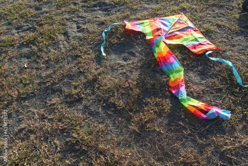 colorful kite on the grass design for freedom concept
