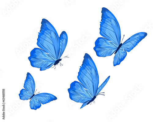 set of blue butterflt watercolor butterflies photo