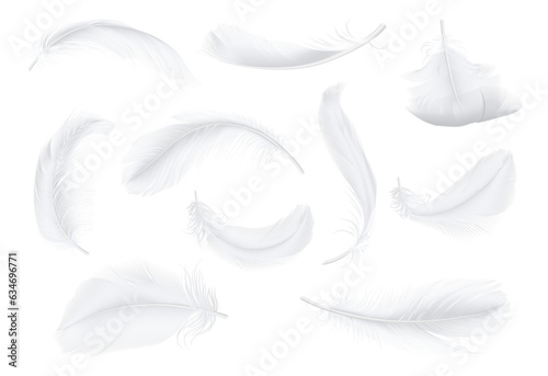 Plumage of birds, goose or chicken, realistic illustration collection. Isolated flying soft and pure feathers, nature and wilderness. Fluffy plumelets with fluff from wings of bird animals © Sensvector