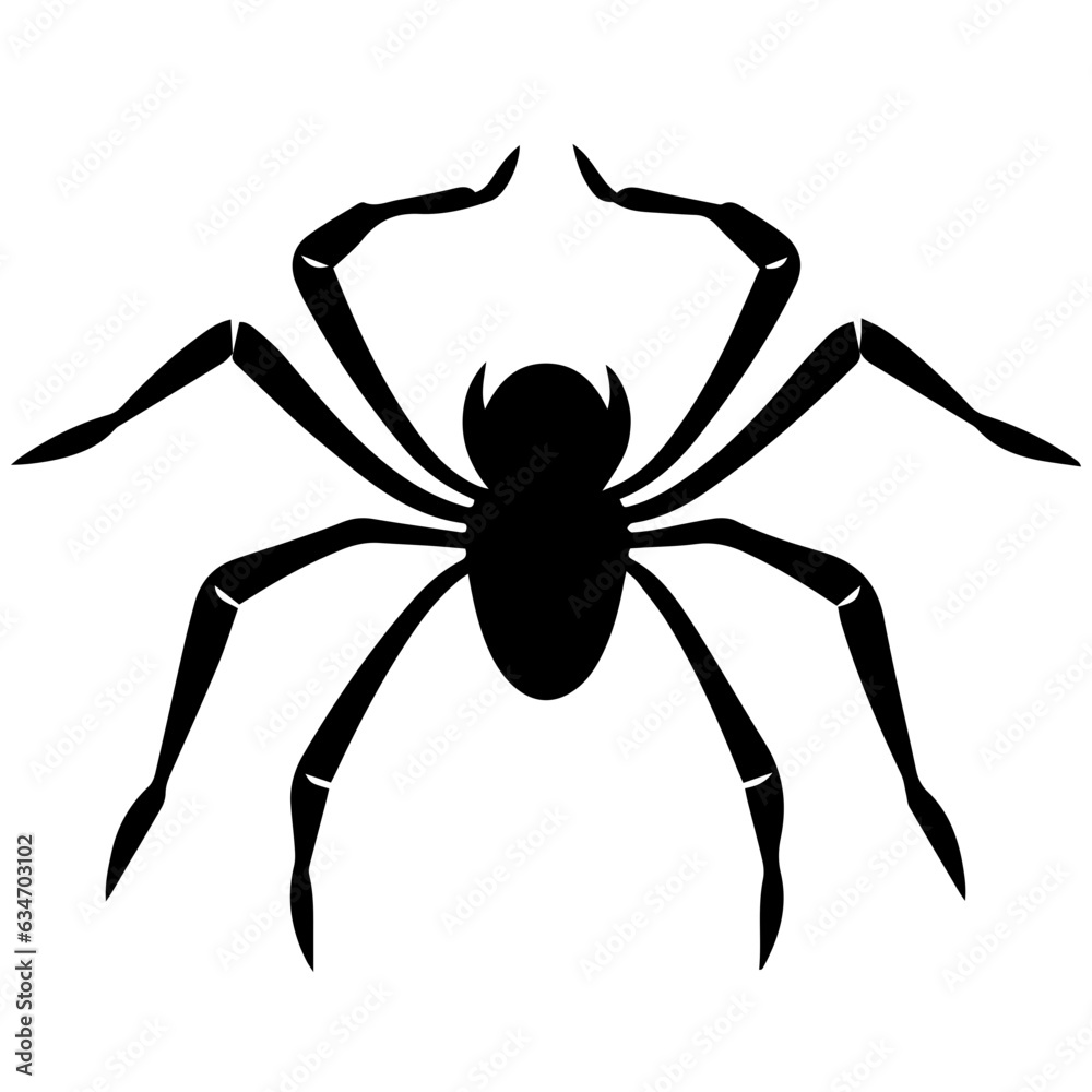 Black spider silhouette Black spider silhouette