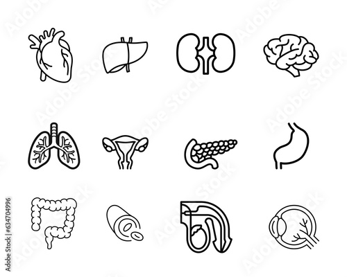 Icon set. Organs of the human body illustration vector style,