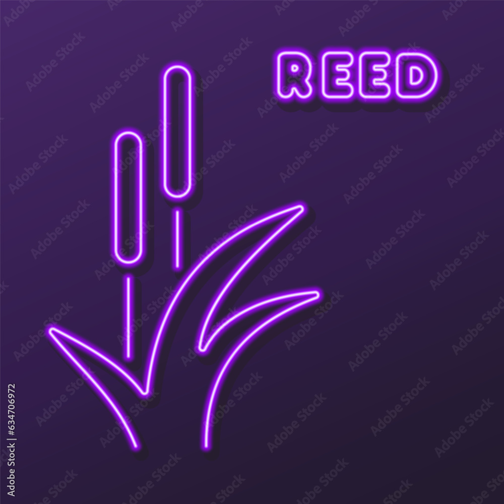 reed neon sign, modern glowing banner design, colorful modern design trends on black background. Vector illustration. reed neon sign, modern glowing banner design, colorful modern design trends on black background. Vector illustration.