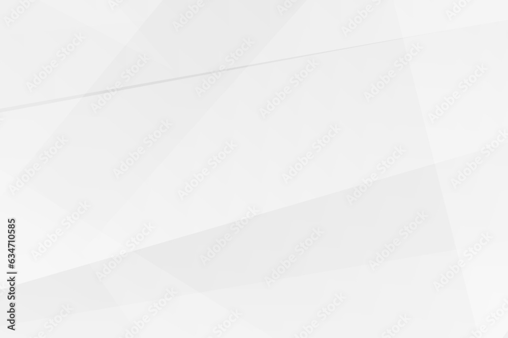 Fototapeta premium Abstract white and grey on light silver background modern design. Vector illustration EPS 10.