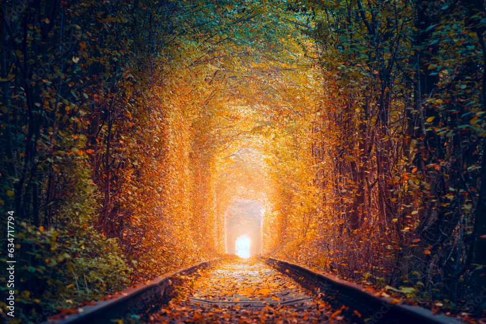 Magical Autumn Trees Tunnel with old railway - Tunnel of Love. Natural tunnel of love formed by trees. Ukraine. Autumn fall seasone landscape