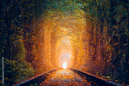 Obraz na płótnie Magical Autumn Trees Tunnel with old railway - Tunnel of Love. Natural tunnel of love formed by trees. Ukraine. Autumn fall seasone landscape w salonie