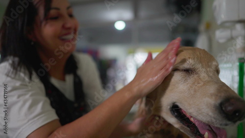 Close-up woman washing Dog at Pet Shop serivice. Happy employee bathing and rubbing Golden Retriever photo