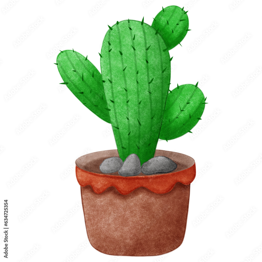 baby cute cactus
baby cute cactus