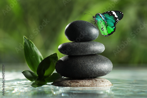 Peace and harmony. Stacked stones in water and beautiful butterfly