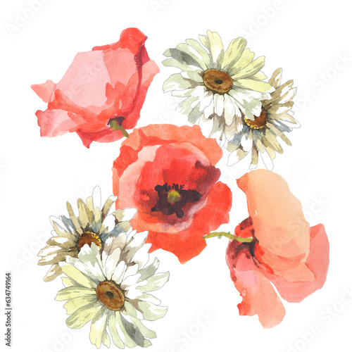 Fototapeta Naklejka Na Ścianę i Meble -  Chamomiles and poppies flowers watercolor painting on white background botanical illustration for all prints.