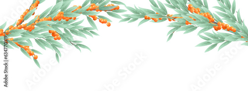 Branches of sea buckthorn with ripe fruits on the top of the frame. Garden plant with edible crop. Branch with foliage and leaves. Isolated on white background. Vector.