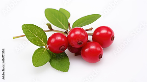 Сranberry isolated on a white background.