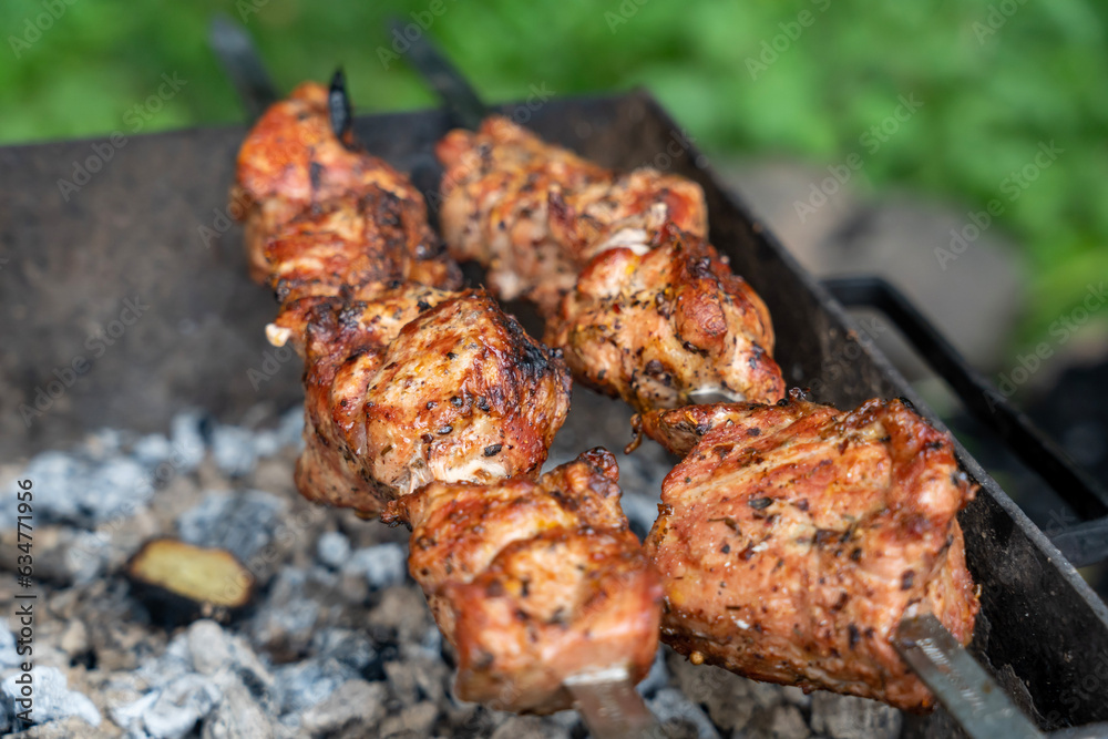 Barbecue with delicious grilled meat on grill