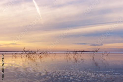 Colorful sky and water surface on lake at sunset or sunrise, blue pink pastel clouds on lake Ik. Nature abstract fon with reflections on water and reeds, growth wild grass, nature color gradient