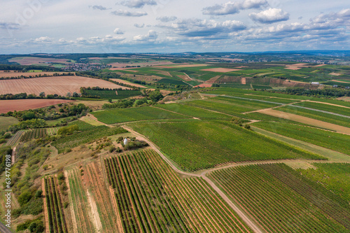 Bird's-eye view of vineyards in Rheinhessen near Flonheim/Germany