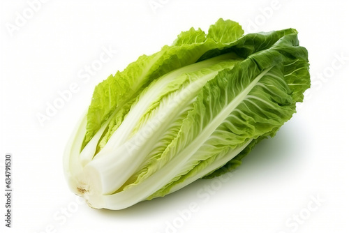 Chinese cabbage isolated on white background .Generative Ai.