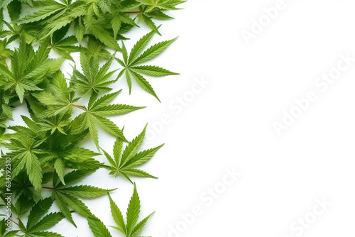 Cannabis leaves on white background.Generative Ai.