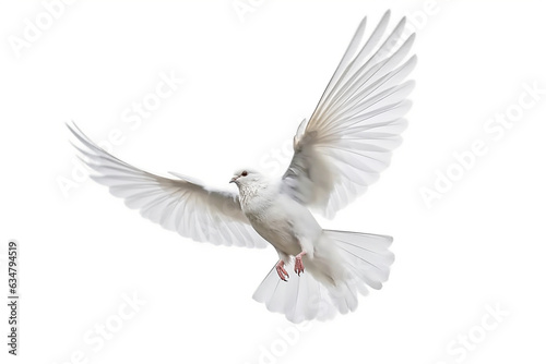 White pigeon isolate on white background.Generative Ai. © Inlovehem
