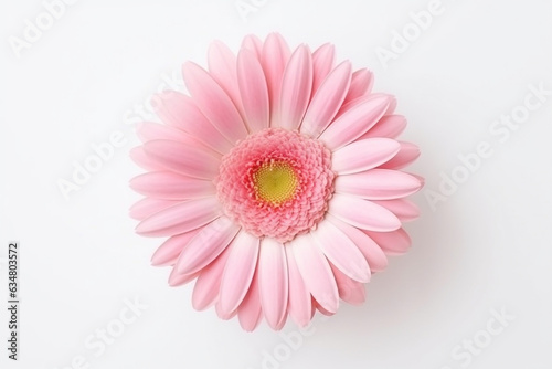 Pink gerbera flower isolated on white background.Generative Ai.