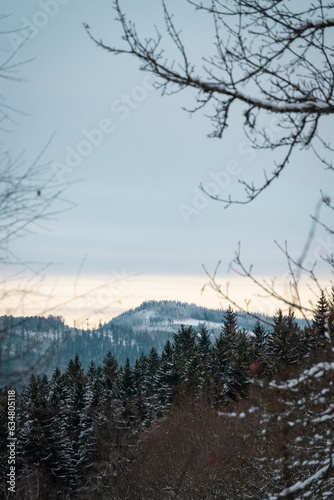 Winter at Sumava national park