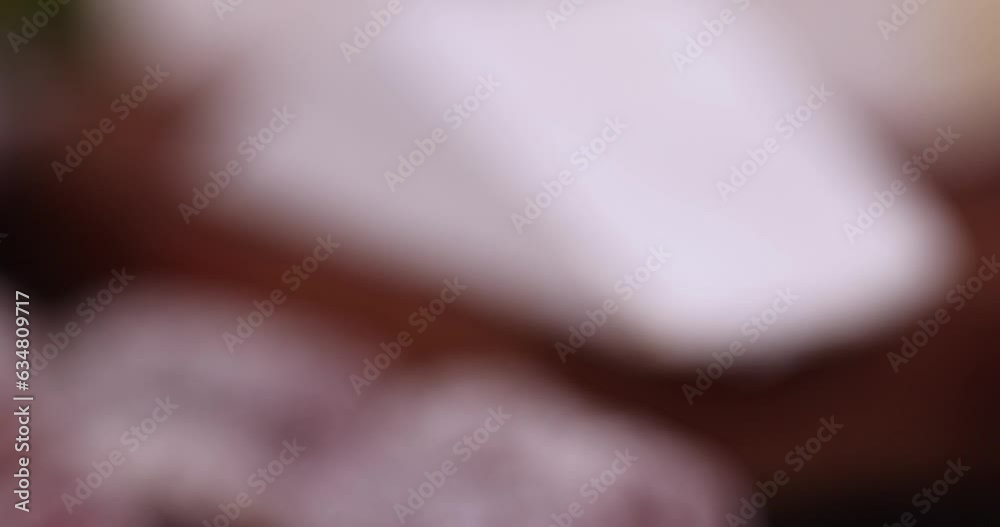 focus on delicious soft cheese with white mold close-up, pieces of cream cheese with white mold focus on delicious soft cheese with white mold close-up, pieces of cream cheese with white mold