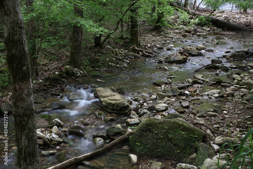 Flowing Stream along the Rocks