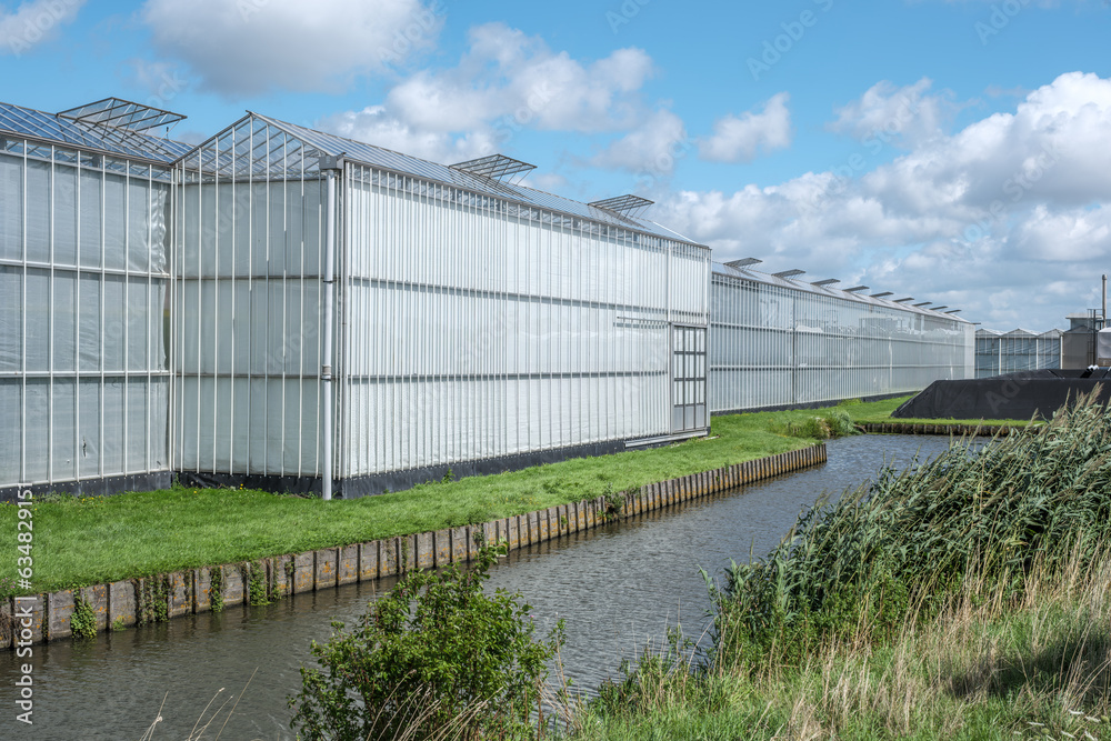 Perspective view of a modern industrial greenhouse in the Westland, the Netherlands. Westland is a region in of the Netherlands. Perspective view of a modern industrial greenhouse in the Westland, the Netherlands. Westland is a region in of the Netherlands.