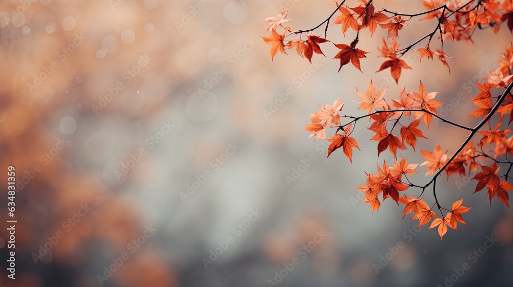 Closeup of leaves on a branch in autumn. autumn background Closeup of leaves on a branch in autumn. autumn background