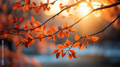 Closeup of leaves on a branch in autumn. autumn background