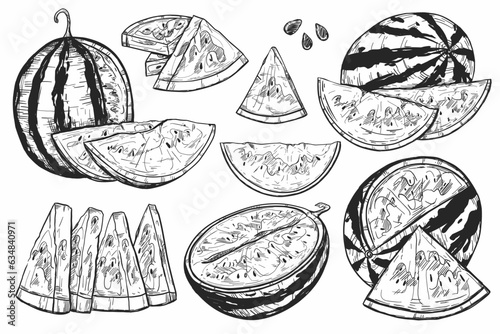 Monochrome Melons: Sketch-Style Illustration of Watermelons