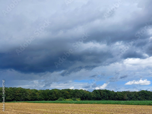 formidable sky with gray clouds over green forest. Slovenia