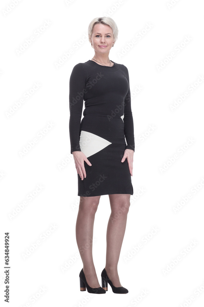 Fototapeta premium young business woman in an elegant dress.
