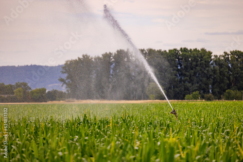 Sprinkler einer Anlage zur Wasser Bewässerung auf einem landwirtschaftlichen Feld mit Mais im trockenen Sommer