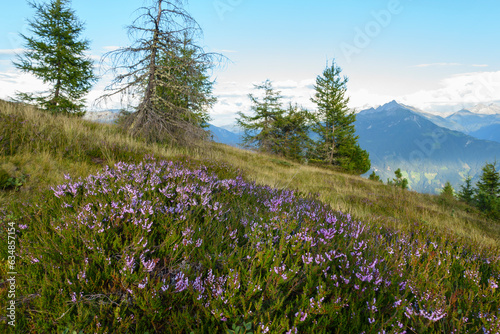 schöne Naturlandschaft in den Tiroler Bergen