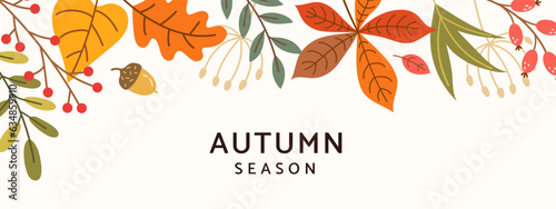 Autumn season background with colorful leaves, branches and berries. Fall border. Template for advertising, web, social media. Vector illustration.