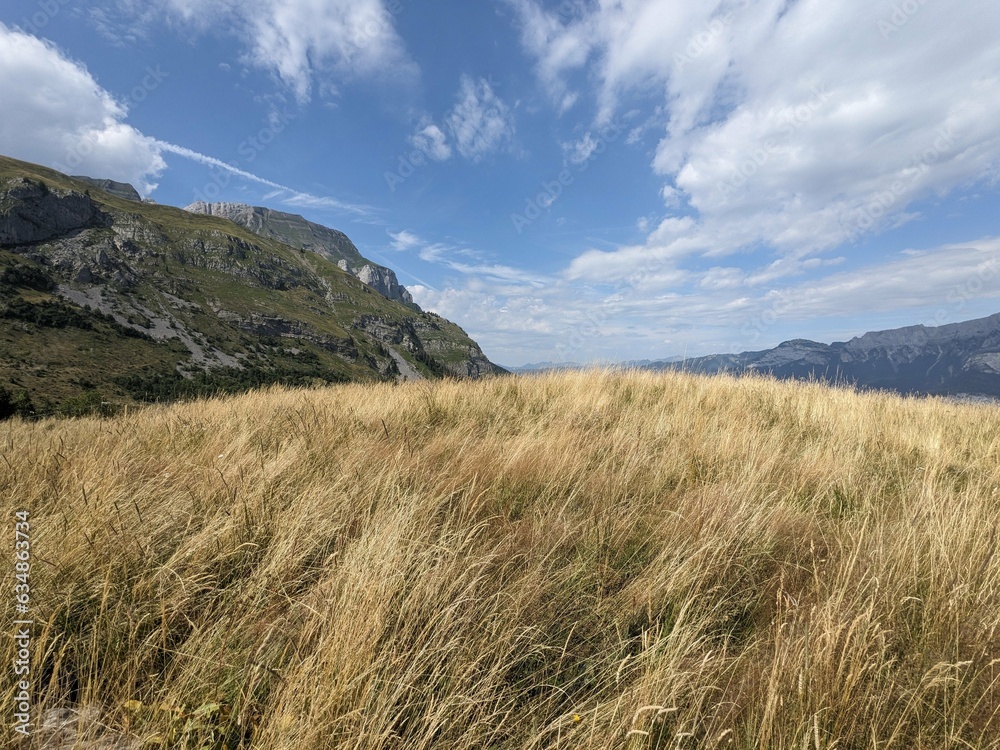 Fototapeta premium French Alps on a clear day - August 2023