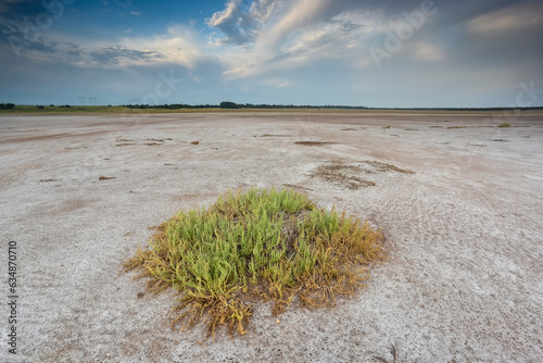 Desert soil in a dry lagoon, La Pampa province, Patagonia, Argentina.